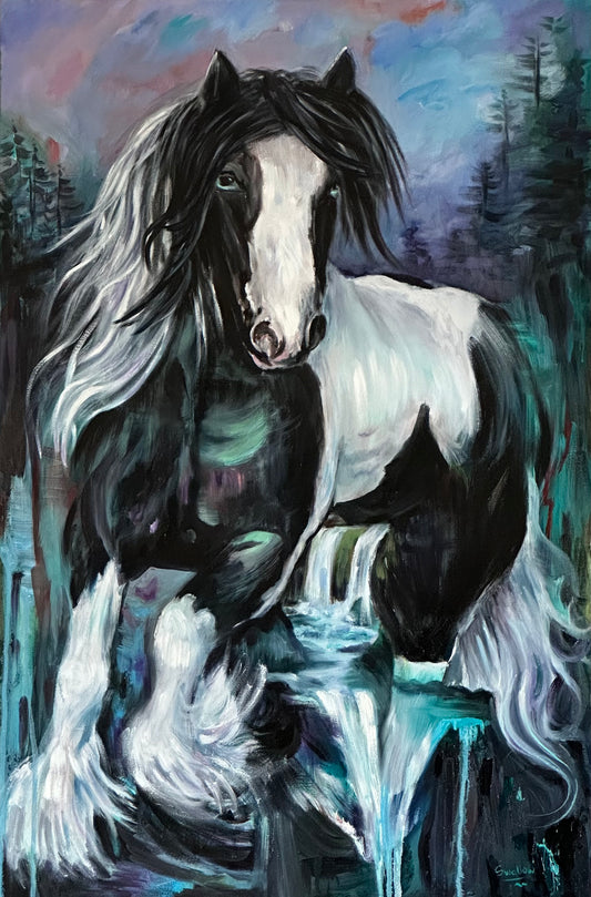 Gypsy Vanner Horse